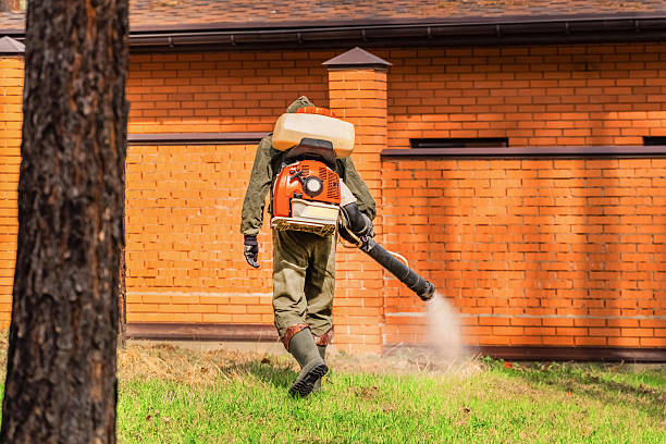 Trusted Bed Bug Control service in Harwich Port, MA - Nex Pest Control